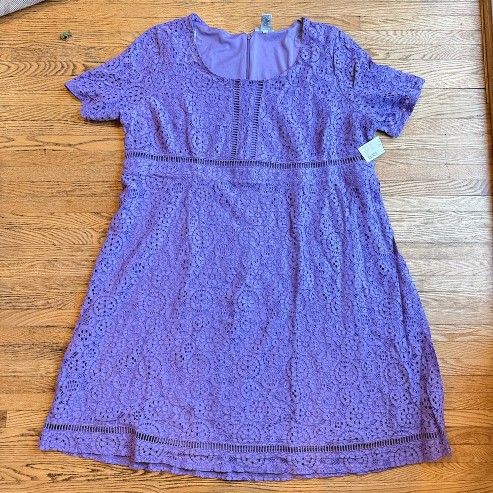 Catherines Lavender Lace Fit and Flare Dress